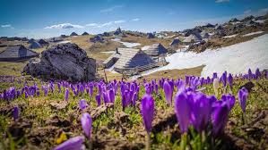 Planina ljubavi Epizoda 30 sa prevodom